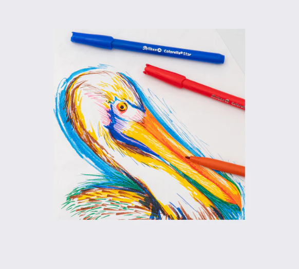 PLUMON PELIKAN CORELLA STAR X 24 - Imagen 4